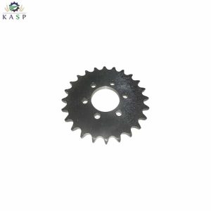 PIGNON AGRICOLE 10B1 Z24VIS - TRIPAILLE 6TROU